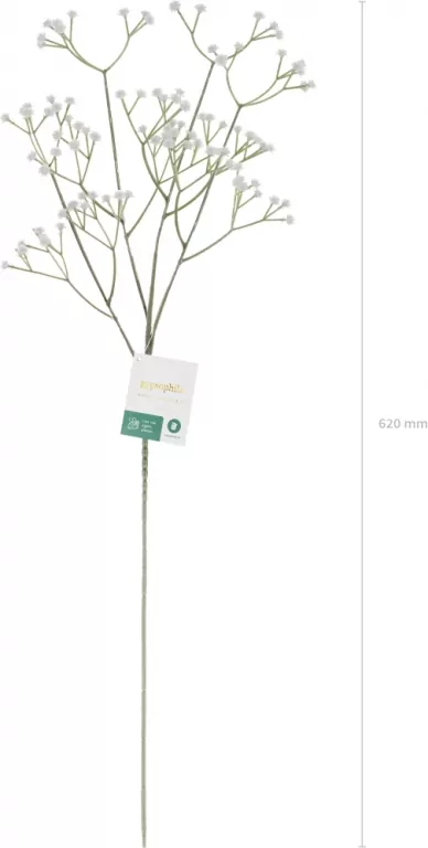 Gipsówka biała 62cm - tantis.pl