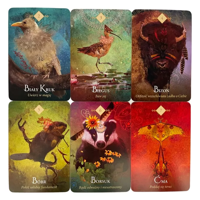 Wyrocznia duchowych zwierząt. Karty tarot - tantis.pl