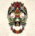 Karnet kwadrat z kopertą Skull of Life - tantis.pl