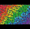 Puzzle drewniane 500+1. Tęczowe motyle - tantis.pl