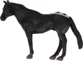 KONIK 9X8 MIX MC FOL DISP 36/864/1728 - tantis.pl