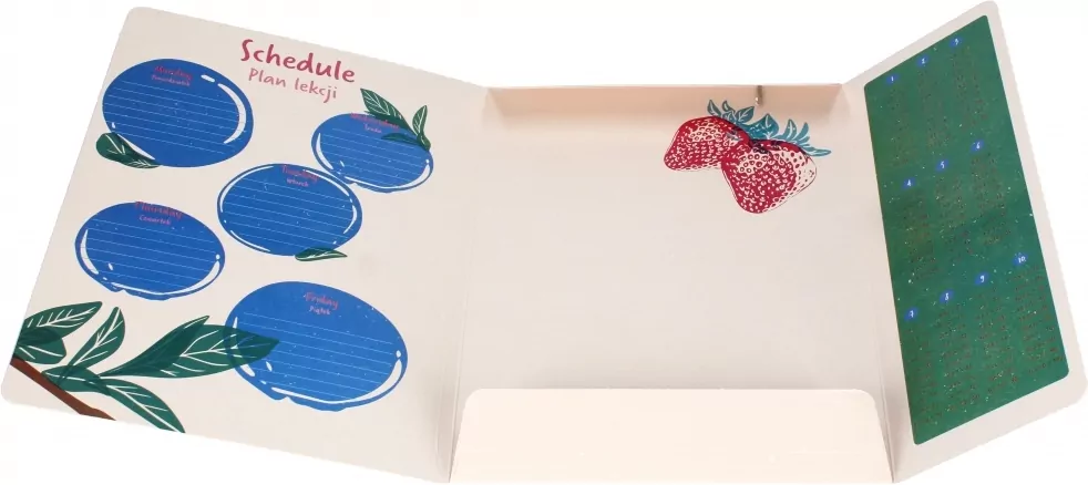 Teczka z gumką A4 Fruits - tantis.pl