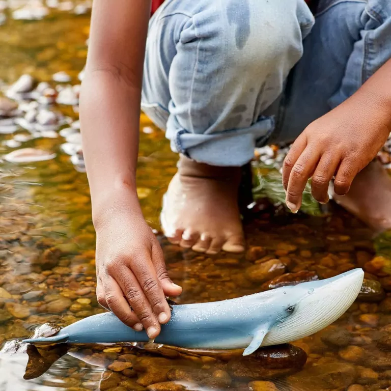 Płetwal błękitny Wild Life 14806 - tantis.pl