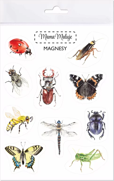 Magnesy. Owady - tantis.pl