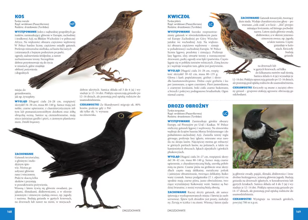 Atlas ptaków - tantis.pl