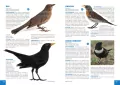 Atlas ptaków - tantis.pl