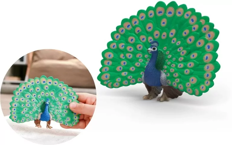 Paw - tantis.pl