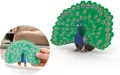 Paw - tantis.pl