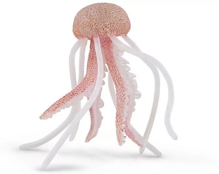 Meduza - tantis.pl