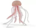 Meduza - tantis.pl