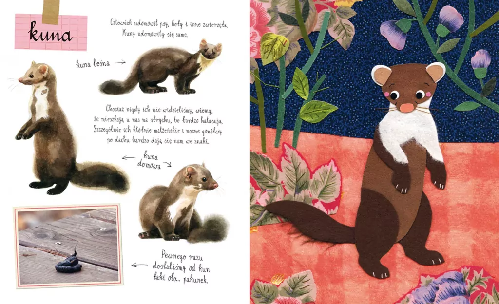 Mały atlas zwierzaków Ewy i Pawła Pawlaków - tantis.pl