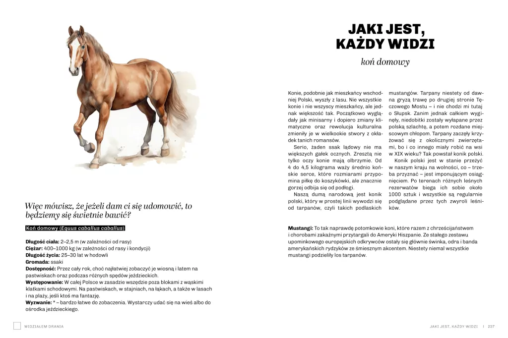 Głupie zwierzęta Polski i jak je znaleźć. Przewodnik świadomego obserwatora - tantis.pl