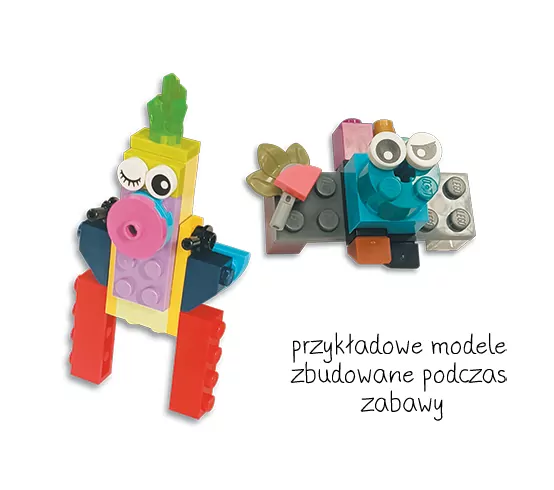 LEGO® Karty Wyzwań. Zwierzęta - tantis.pl