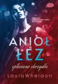 Splecione skrzydła. Anioł łez. Tom 4 - tantis.pl
