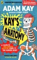 Kay's anatomy - tantis.pl
