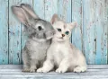 Puzzle 500. High Quality Collection. Kotek i Królik - tantis.pl