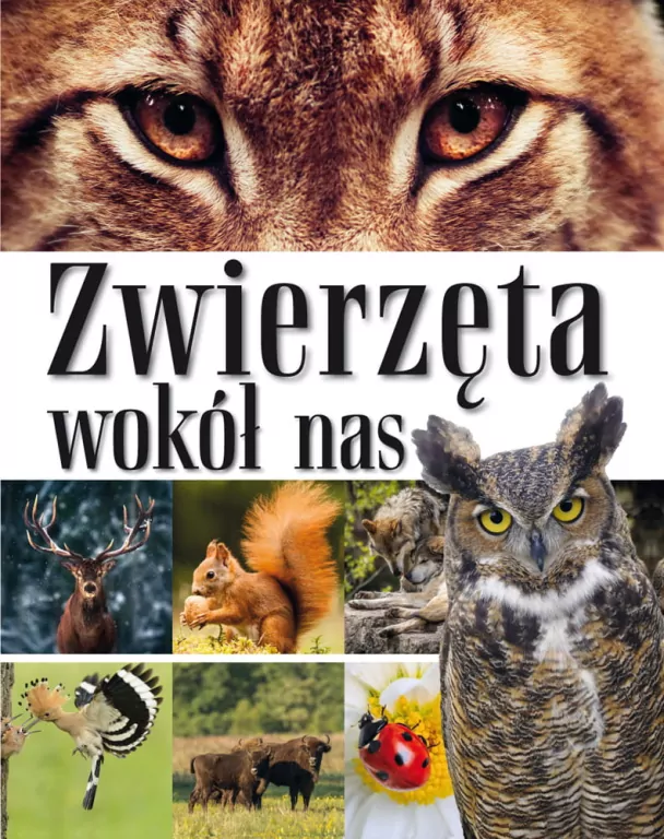 Zwierzęta wokół nas. Encyklopedia dla dzieci - tantis.pl