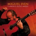 Flamenco Entre Amigos CD - tantis.pl
