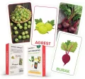 Karty obrazkowe - Owoce i warzywa - tantis.pl