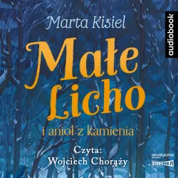 Małe Licho i anioł z kamienia. Audiobook
