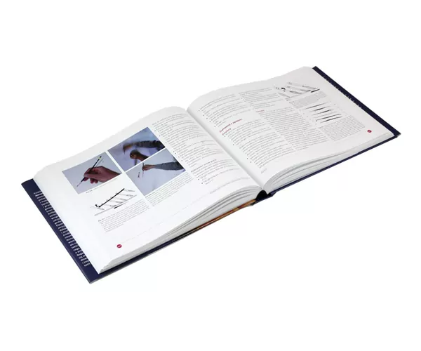 Ikona. Podręcznik malarstwa ikonowego i ściennego - tantis.pl