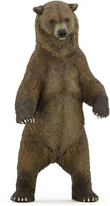 Niedźwiedź Grizzly - tantis.pl