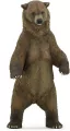 Niedźwiedź Grizzly - tantis.pl