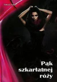 Pąk szkarłatnej róży - tantis.pl