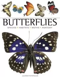 Butterflies - tantis.pl