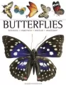 Butterflies - tantis.pl