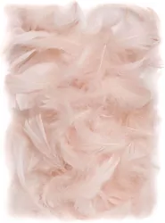 Piórka  5-12 cm, 10 g nude (beżowy) (CEPI-022)