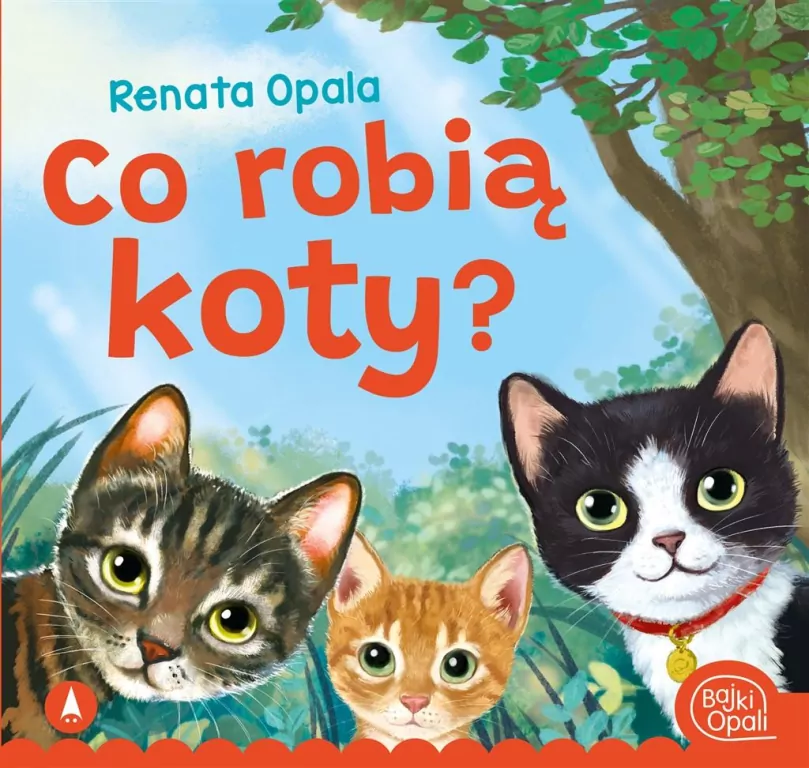 Co robią koty? - tantis.pl