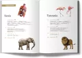 Kenia i Tanzania - tantis.pl