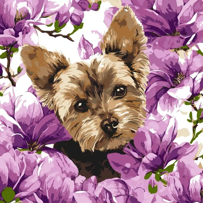 Malowanie po numerach - York w magnolii 40x40cm - tantis.pl