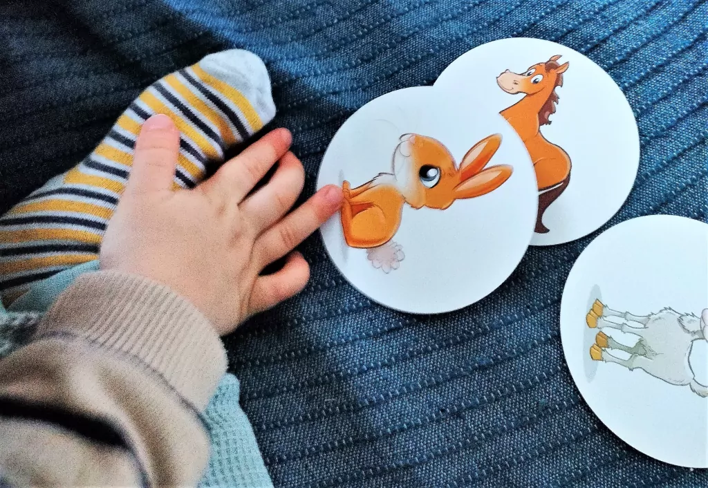 Pamięć. Zwierzęta Domowe. Gry dla całej rodziny - tantis.pl