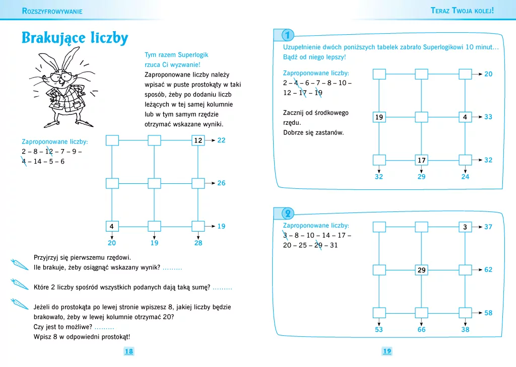 Bzik matematyczny. Łamigłówki mądrej główki - tantis.pl