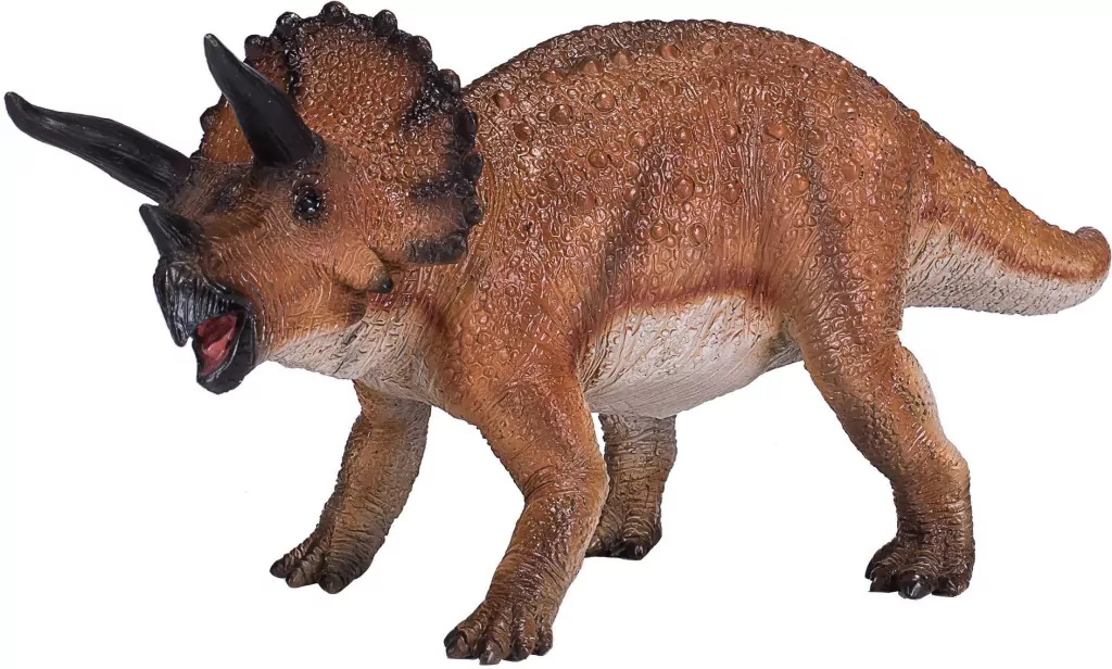 Triceratops - tantis.pl