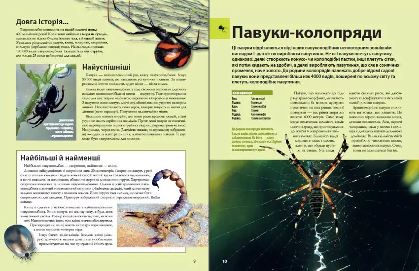 Велика книга комах - tantis.pl