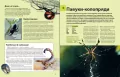 Велика книга комах - tantis.pl
