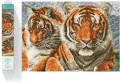Diamond Dotz Adults Tigers - tantis.pl