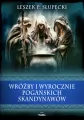 Wróżby i wyrocznie pogańskich Skandynawów - tantis.pl