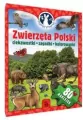 Poznaję przyrodę. Zwierzęta Polski. Ciekawostki, zagadki, kolorowanki - tantis.pl