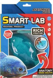 ZEST NAUKOWCA ANATOMIA RYBA 20X30X5 MC WB48