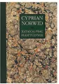 Cyprian Norwid Katalog prac plastycznych Tom VII Prace w albumach 2 - tantis.pl