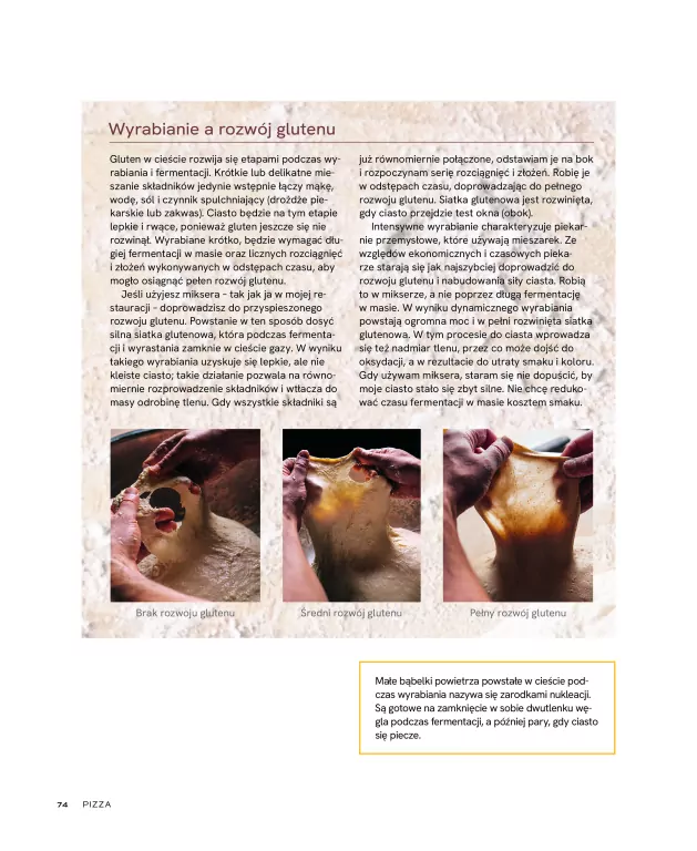 Pizza. Przepisy i techniki znanego pizzaiolo - tantis.pl