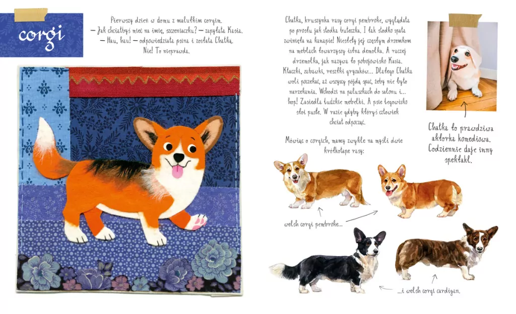 Mały atlas psów (i szczeniaków) Ewy i Pawła Pawlaków - tantis.pl