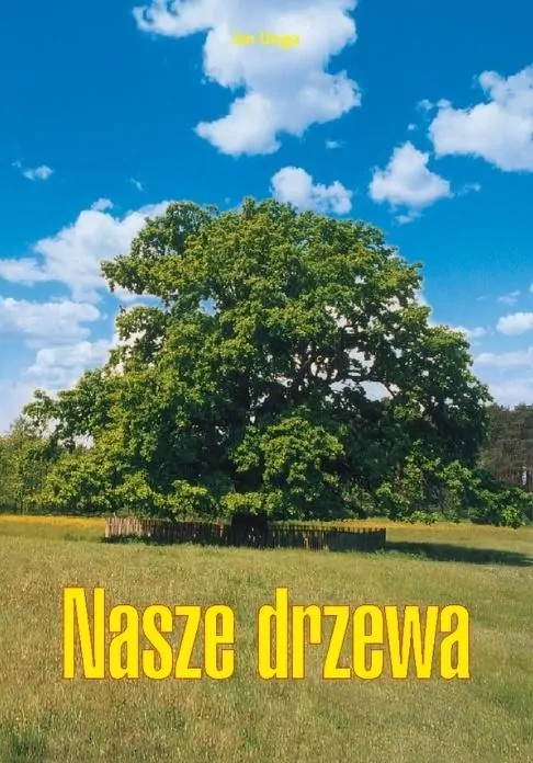 Nasze drzewa - tantis.pl