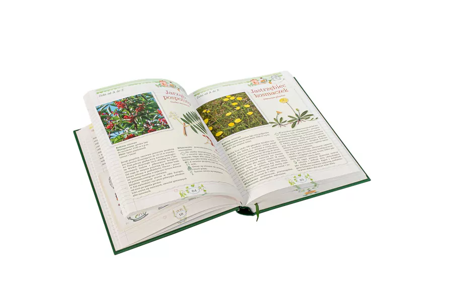 Zioła. Nowa encyklopedia. Właściwości i zastosowanie w odżywianiu, leczeniu i kosmetyce - tantis.pl