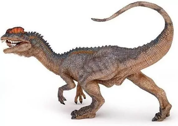 Dilophosaurus - tantis.pl