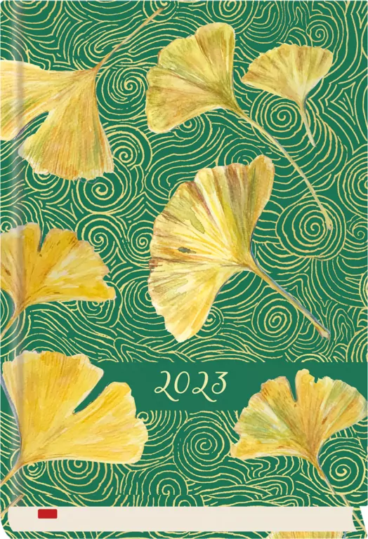 Terminarz 2026 B6 dzienny powszechny - tantis.pl